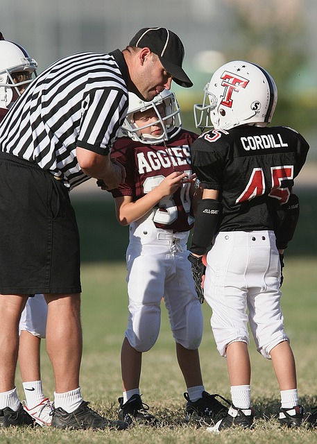 郑钦文的精 郑钦文的精