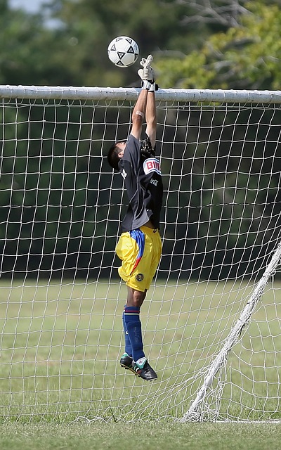 将是进攻的 将是进攻的