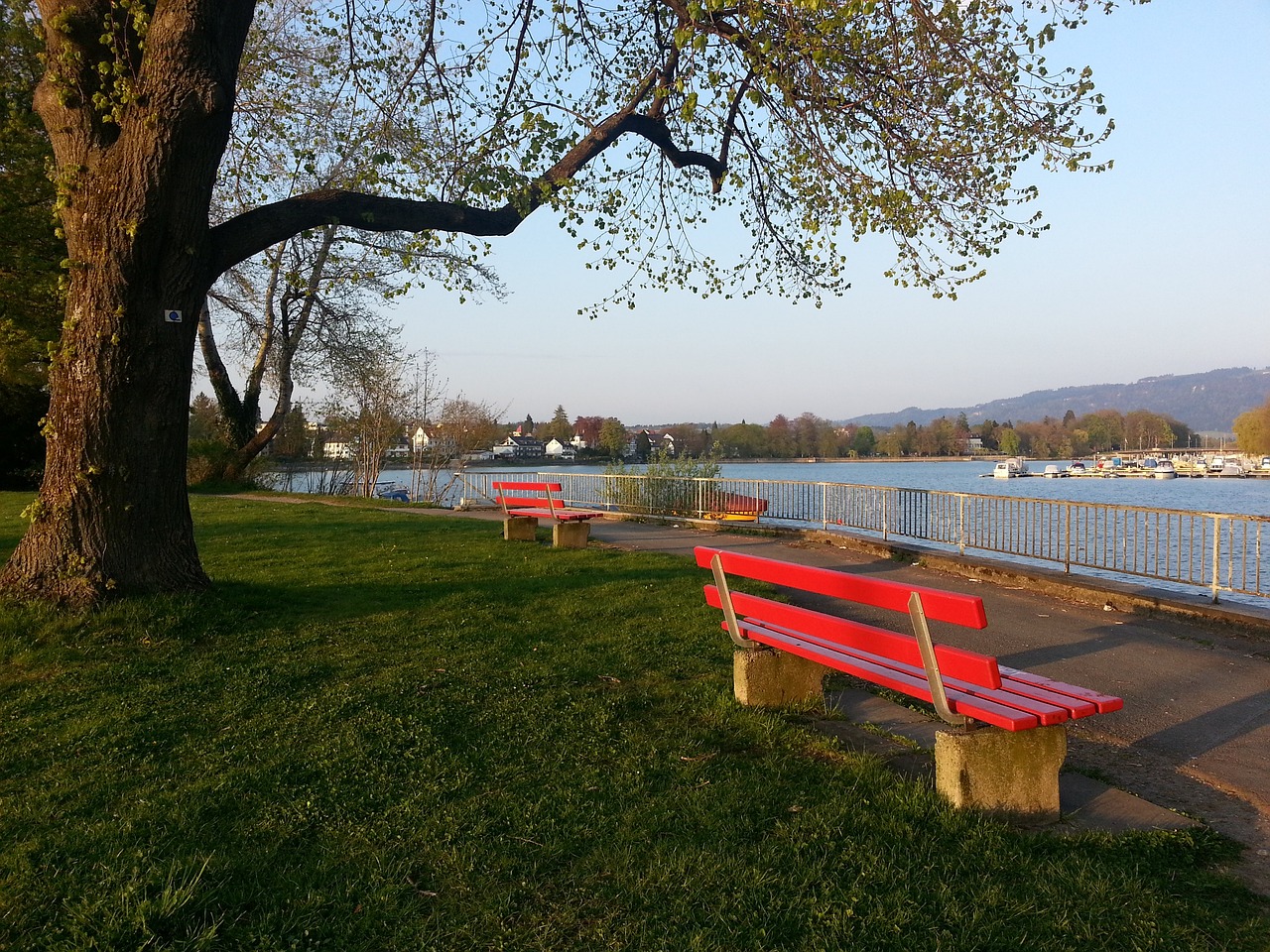 技术和战术 技术和战术